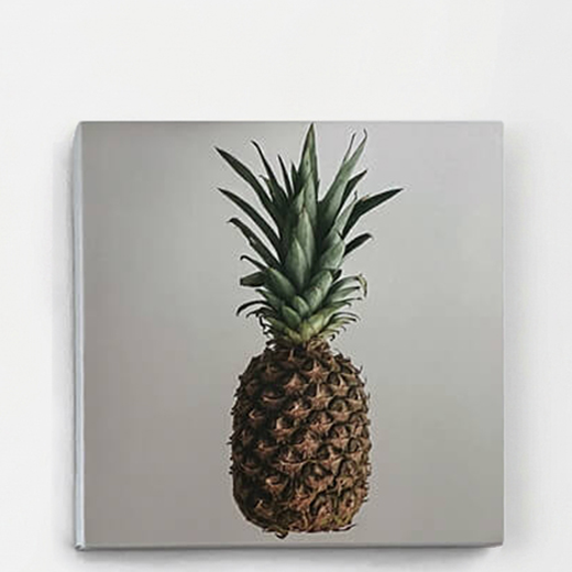 Canvastile canvas photo tile on wood frame
